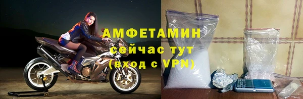 шишки Алексин