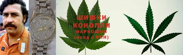 молекула духа Абинск